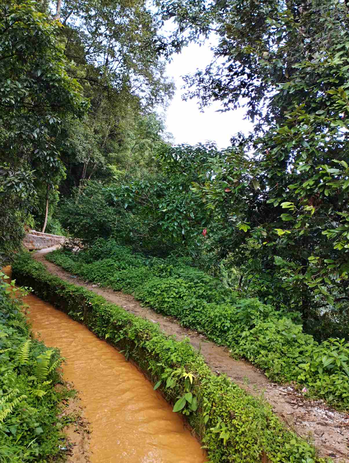 Patan's Rajkulo from Tika Bhairav | Photo courtesy: Neeva Shrestha