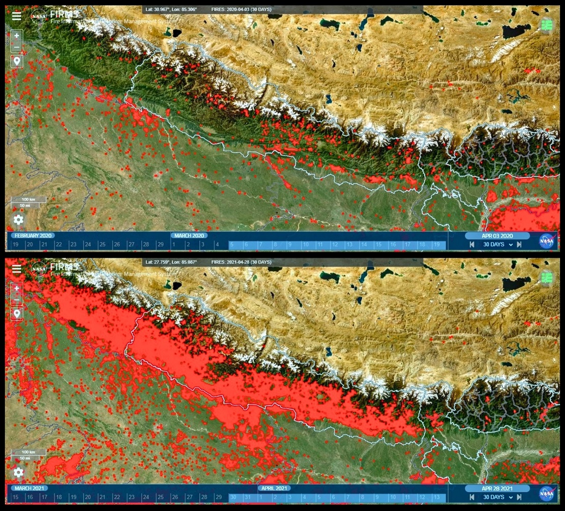 Satellite Image of Wildfires in the year April 2020 (Up) | Satellite Image of Wildfires in the year April 2021 (Down) | Source: FIRMS, NASA