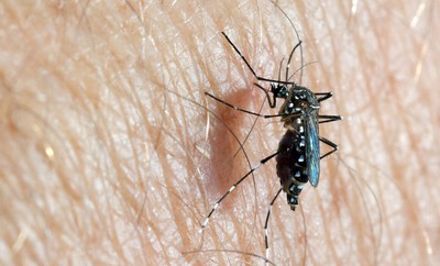 Why is dengue surging in Nepal?