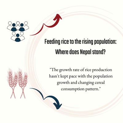 Feeding rice to the rising population: Where does Nepal stand?